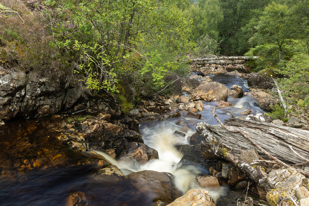 Fallen trees add structure to the river course of Allt na h-Imrich. Glen Affric, Affric Highlands.