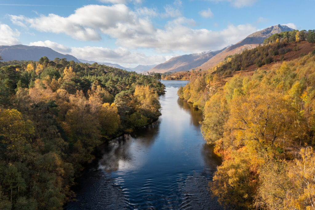 Caledonian forest next to the river Affric at Glen Affric National Nature Reserve.