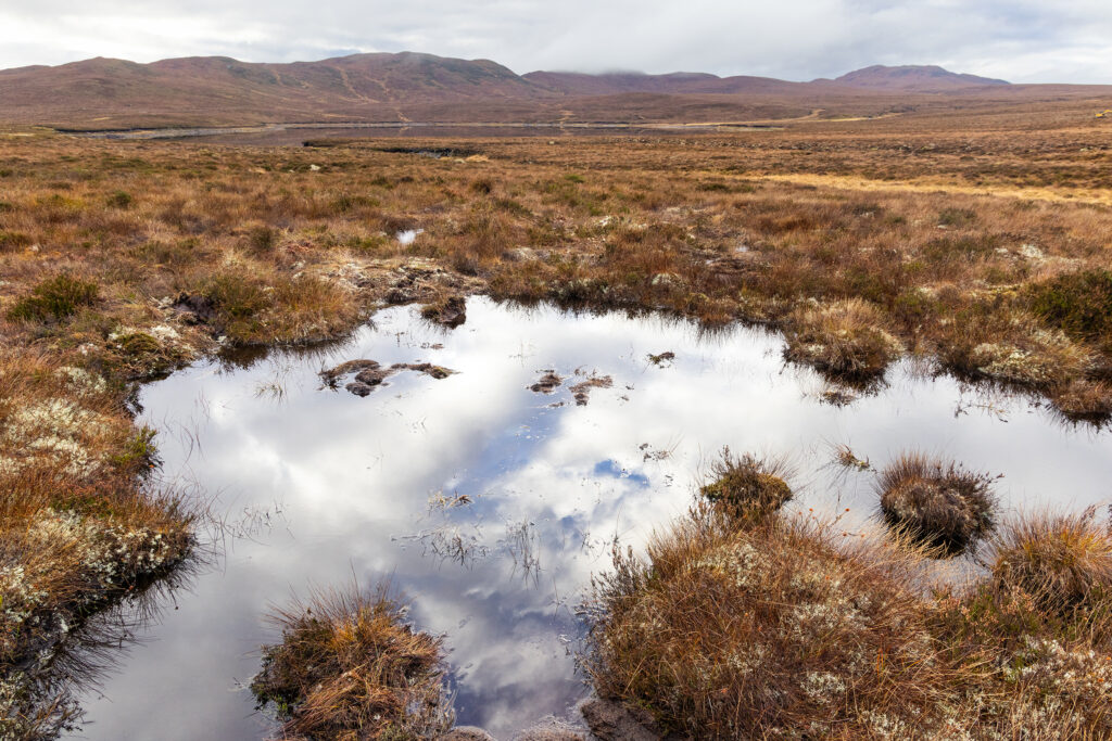 A pool created by bunds that have been put in place to rewet degraded peatland on Dundreggan Estate, Affric Highlands, Scotland.